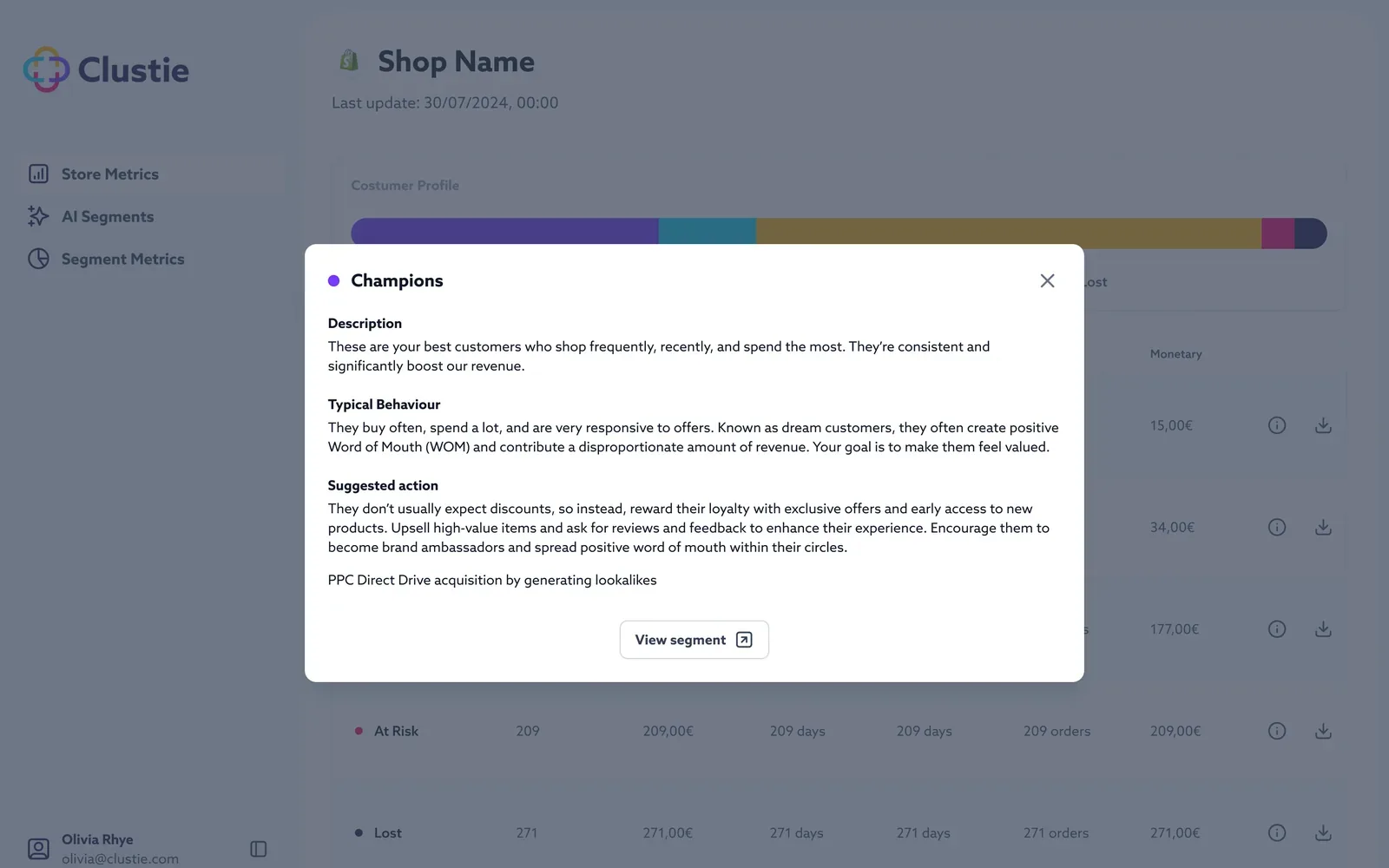 Champions segment description with typical behaviour and suggested actions